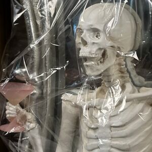 Martha Stewart‎ Halloween Decor Skeleton Holding Pink Martini Glass LED Mirror